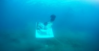 Engelli Dalış Rekortmeninden Anlamlı Dalış