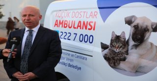 Kocasinanın Küçük Dostlar Ambulansı Bin 252 Can Kurtardı