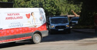 Droneli Kurbanlık Yakalama Timinden Tatbikat