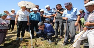 Varto Baltaş Köyünde İçme Suyu Sevinci