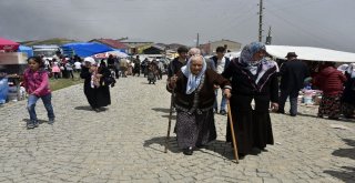 Teröre İnat Binlerce Kişi 173.güvende Yayla Şenliğinde Buluştu