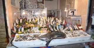 Derede Yakalanan 1,5 Metre Uzunluğundaki Balık Şaşkına Çevirdi