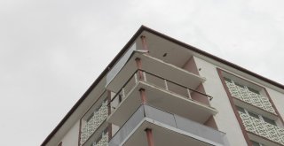 Çankırıda Fırtına Ağaçları Kökünden Söktü