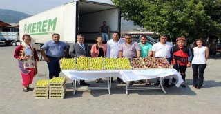 Taze İncire Zeybekli İhracat