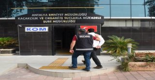 Antalya Merkezli Dört İlde Yapılan Eş Zamanlı Operasyonla Organize Suç Örgütü Çökertildi