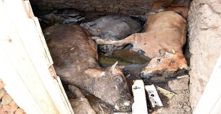 Sıcaktan Sığındıkları Kulübede Telef Oldular