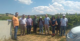 Buldanda Sulamada Çiftçiler Dijital Saat İle Tanışacak