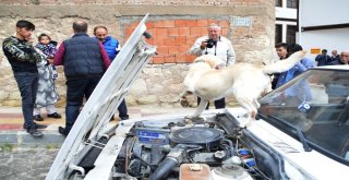 Polis Ekipleri Torbacılara Göz Açtırmıyor