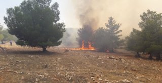Dünyanın Bilinen En Eski Tapınaklarından Göbeklitepe Arkeolojik Alanı Yakınlarındaki Ormanlık Alanda Henüz Bilinmeyen Bir Nedenle Yangın Çıktı. Bölgeye Çok Sayıda İtfaiye Ekibi Sevk Edildi. Haliliye İ
