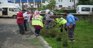 Kartepede Mezarlıklarda Çevre Düzenlemesi Yapıldı