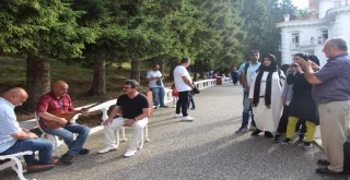 Turistlere Sazlı Sözlü Karşılama