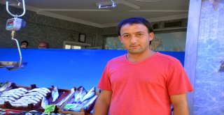 Yasak Bitti, Bilecikte Balık Tezgahları Şenlendi