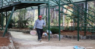 Nesli Tüketen Kelebekler İçin Gaziantepte Tropik Merkez Yapılıyor