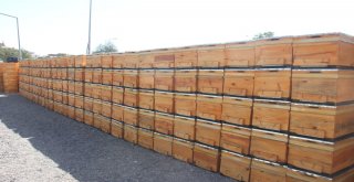 Bingölde 28 Arıcıya Hibe Desteği