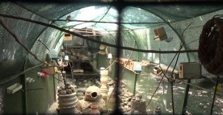 Hayatı Kuşlarla Geçiyor