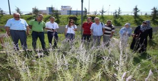 Ko-Mekten İstihdama Yönelik Yeni Branş