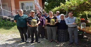 Hobi Bahçesinden Turşu Üretiyorlar