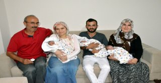 Ordulu Çiftin 4 Yıl Sonra Üçüz Bebek Sevinci