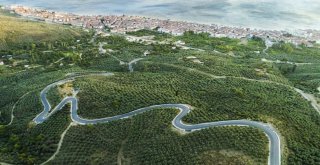 “Siyah Elmas” Karelere Yansıdı