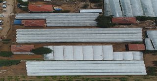 Selle Sarsılan Çiftçi Yaralarını Sarmaya Çalışıyor