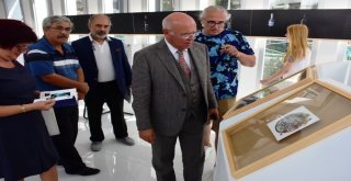 4. Bağ Bozumu Ve Ekoloji Festivalinde Karma Tasarım Sergisi Açıldı