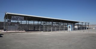 Sincan Kurban Bayramına Hazır