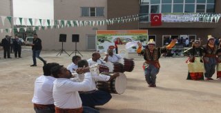 Abdye Organik Zeytin Yağı Kilisten Gidecek