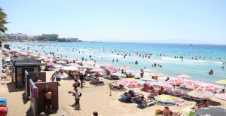 Büyükşehir Sahilleri Güzelleştiriyor