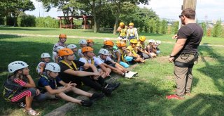 Kadın Kolları Macera Parkta