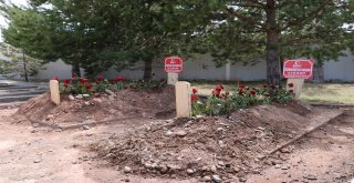 Şehit Annenin Ağabeyi: Kıyamadığımız Kız Kardeşimize Zalimler Kıydı