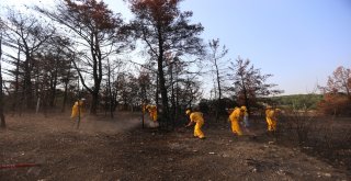 Onlar İzmirin Gönüllü Ateş Savaşçısı Orman Köylüleri