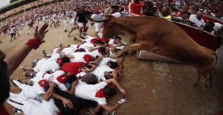 Boğa Katliamı Devam Ediyor