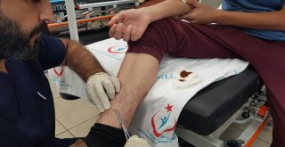 Kurban Kesilirken Ayağına Kene Yapıştı
