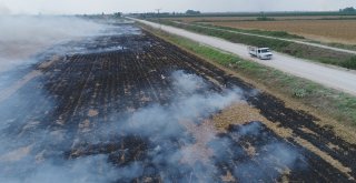 Çukurovada Mısır Hasadıyla Birlikte Anız Yangınları Da Başladı