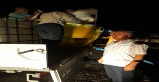 Eğirdir Gölüne 150 Bin Yavru Sazan Balığı Salındı