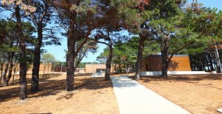 Bağcılarlı Gençlere 5 Yıldızlı Otel Konforunda Gençlik Kampı