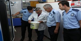 Merkezefendi Zabıtası İle Kantinler Güvende