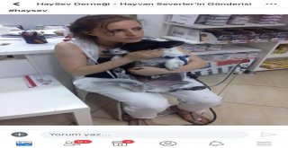 Kaybolan Köpeğini Ağlayarak Çektiği Videoyla Arıyor