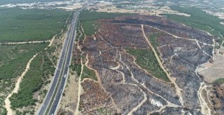 Bucada Yanan Alan Drone İle Görüntülendi