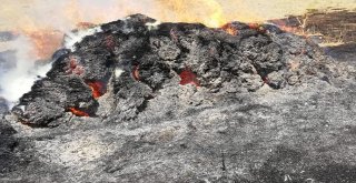 Özalp İlçesinde Bin Bağ Ot Ve 8 Ton Saman Yandı