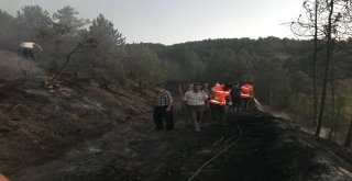 Kaymakam Ve Vatandaşlar, Ormanı Yanmaktan Kurtardı