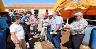 Yozgatta Polis Ekipleri Hayvan Pazarında Sahte Para Uyarısı Yaptı