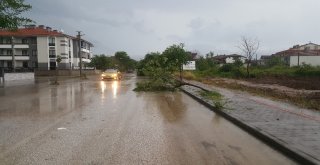 Düzcede Fırtına Ve Yağış Bir Anda Bastırdı, Ortalık Savaş Alanına Döndü