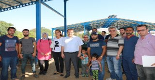 Erzincanda Genç Çiftçiler Koyunlarına Kavuştu