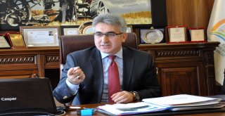 Gümüşhanede Büyükbaş Hayvan Sayısı Son 20 Yılın Zirvesinde