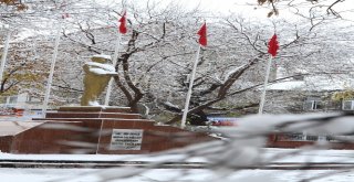 Ardahan Kent Merkezi Beyaza Büründü