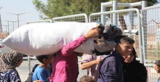 Bayram İçin Ülkelerine Giden Suriyelilerin Yarısı Geri Döndü