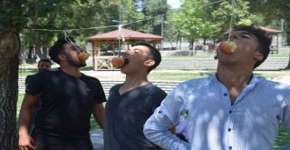 Kent Konseyi Gençlik Meclisi,  Gönüllerince Bir Gün Yaşadılar