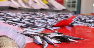 Eskişehirde Balıklar Tezgaha İndi