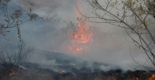 Yangını Ormana Sıçramadan Gazeteciler Söndürdü